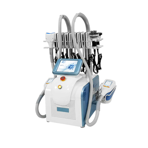 Portable Low Price Cryolipolysis Machine/Fat Freezing Weight Loss Beauty Machine