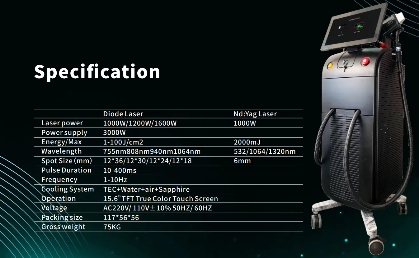 Diode Laser & ND YAG Laser Beauty Device for Hair/ Tattoo Removal