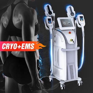 2025 Hottest 2 in 1 EMSS Cryo Cryolipolysi 360 Cool Body slimming Machines Fat Freezing for Belly Fat Removal with Best Price