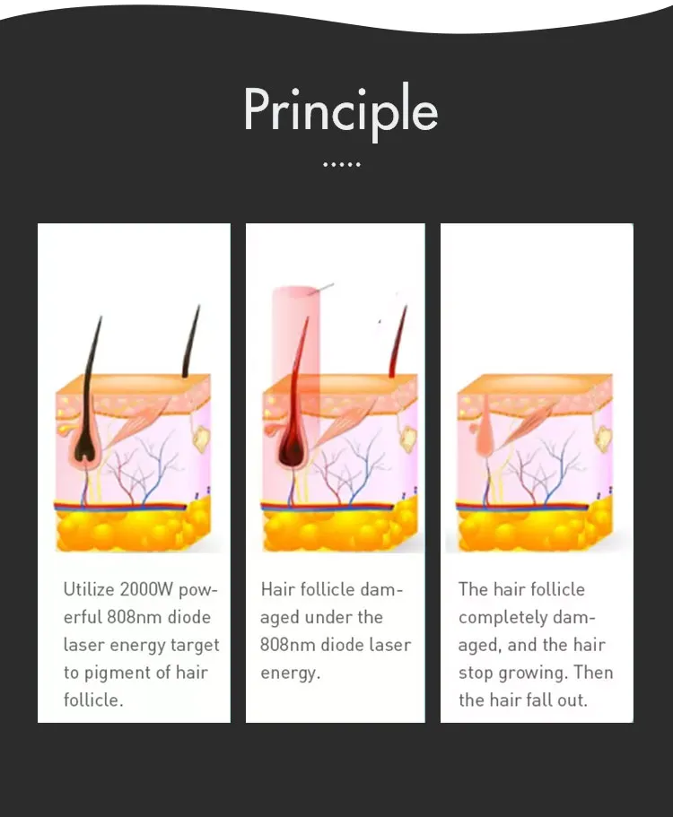 Working Principle Diagram