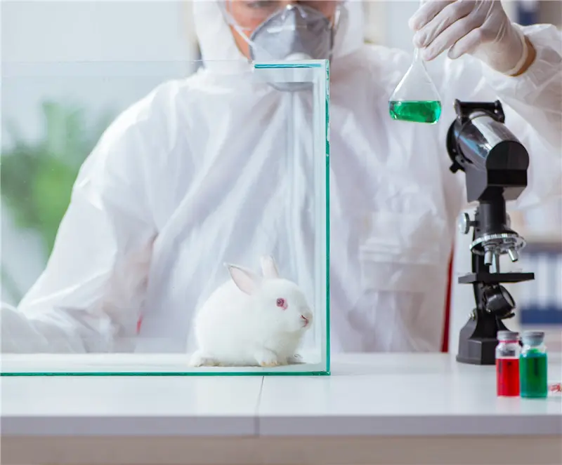 Animal study for efficacy and safety of natural products