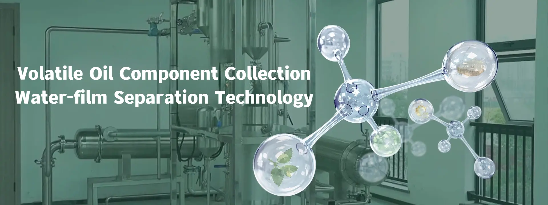 Herbal medicine process development and pilot manufacturing