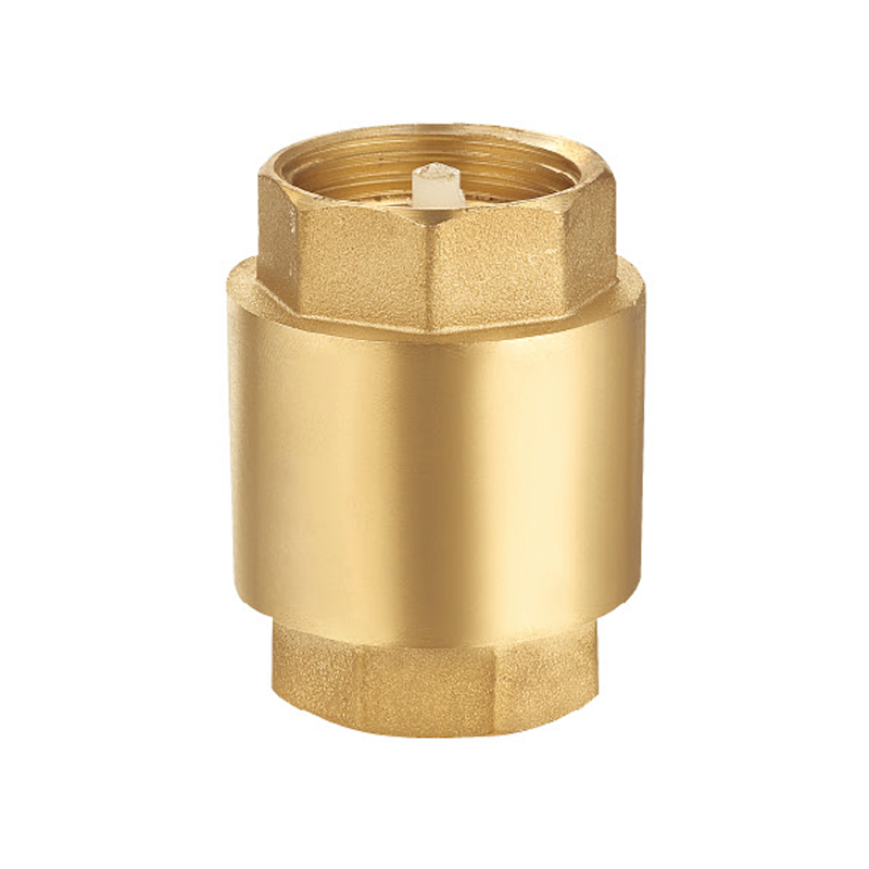 OEM Check Valve Pricelist, Company
