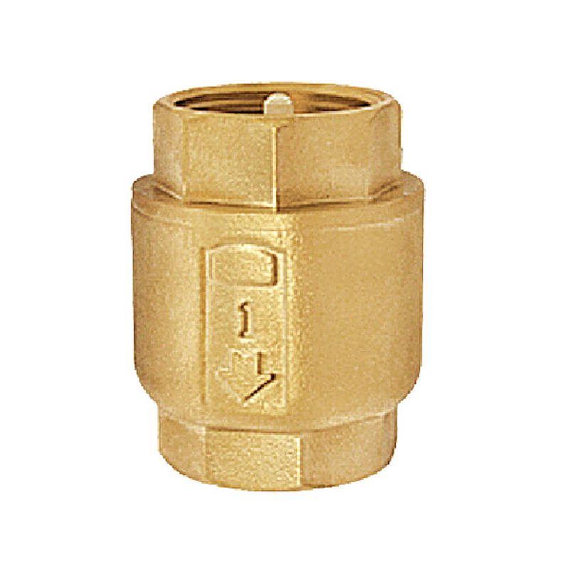 OEM Check Valve Pricelist, Company