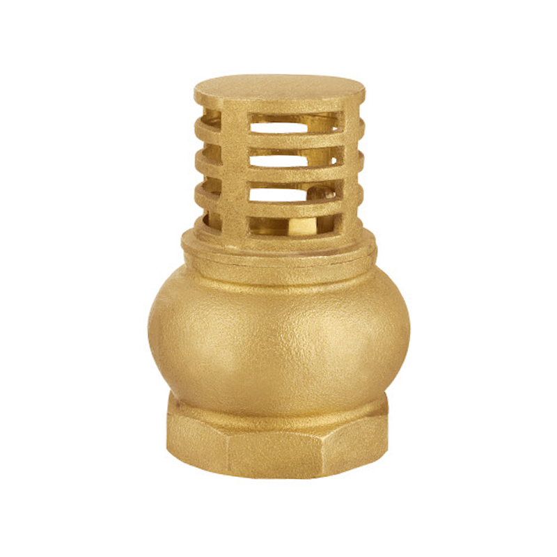 ODM Filter Exporters, Service