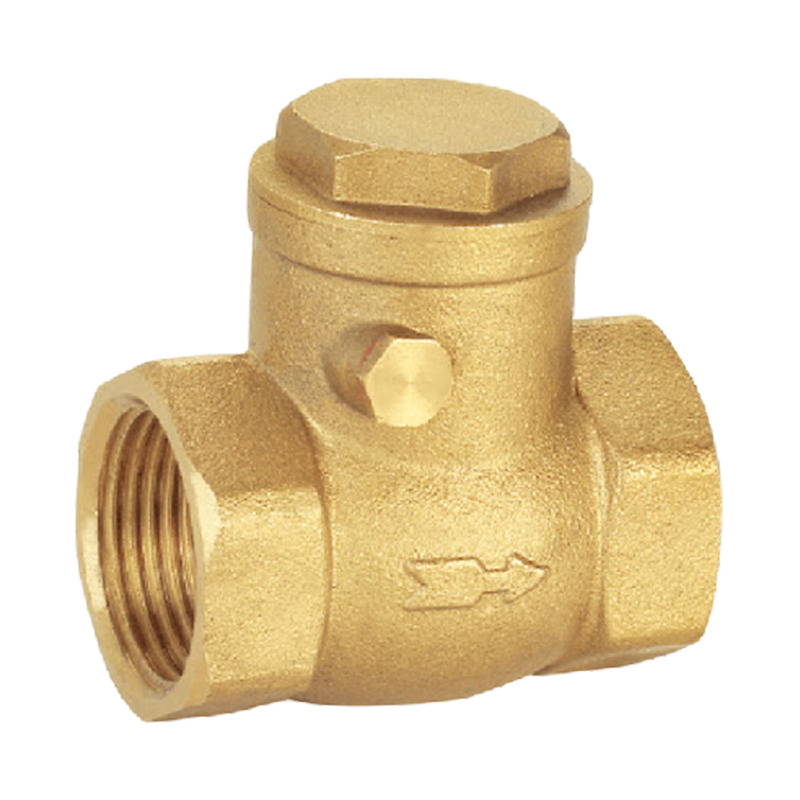 Cheap Brass Check Valve Water Pipe One-Way Valve Switch Quotes, Product