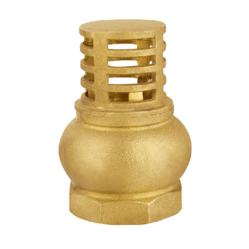 Brass Vertical Spring Check Foot Valve with Integrated Filter Screen