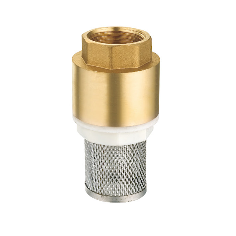OEM Check Valve Pricelist, Company