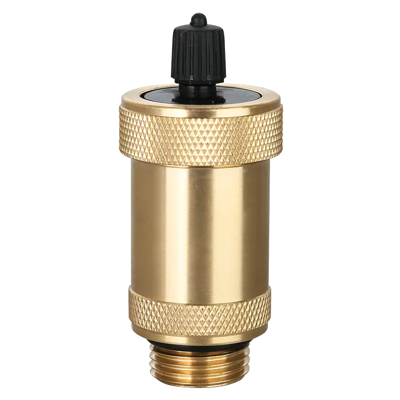 Boiler Automatic Air Vent and Float Chamber Assembly