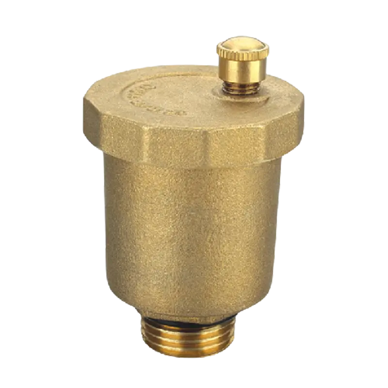 Custom Automatic Air Release Air Vent Valve