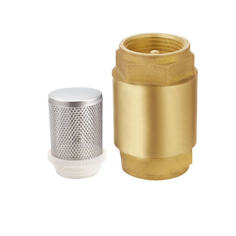 OEM Check Valve Pricelist, Company