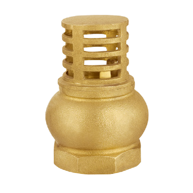 Best Brass Vertical Spring Check Foot Valve with Brass Filter Manufacturers, Pricelist