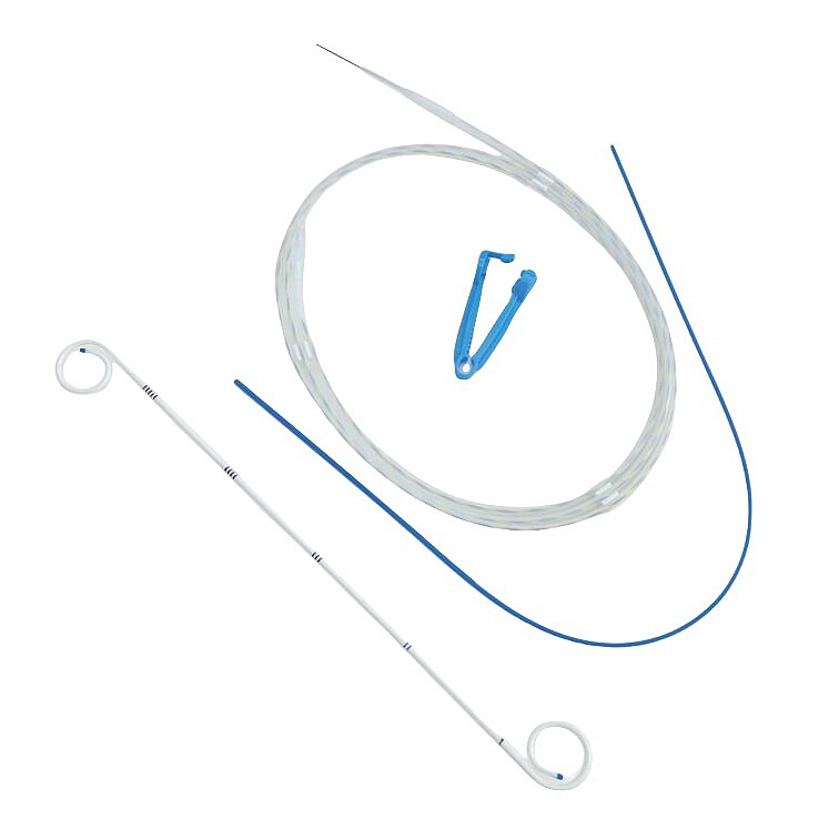 Conjunto de Stent Ureteral Doble J de Urología Fr 5fr 6fr 6X26cm, Ajustable en Ambos Extremos Abierto Stent Ureteral Doble DJ con Empujador