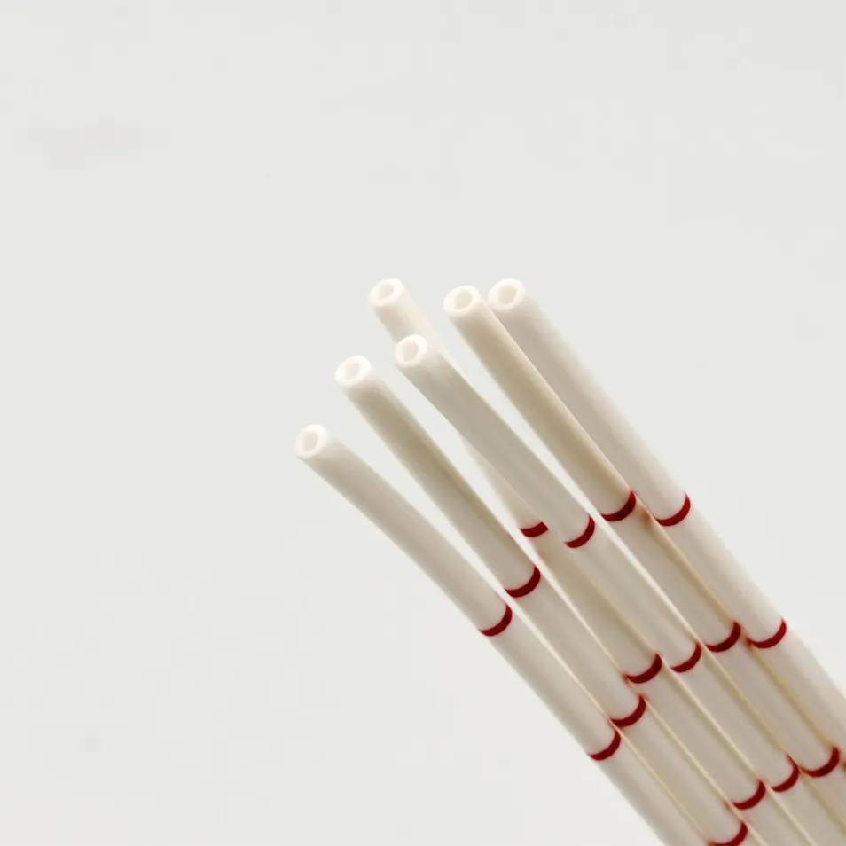 Detalle catéter 1