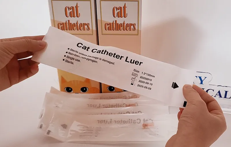 Catéter con guía