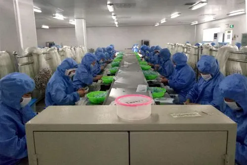 Equipo de Producción