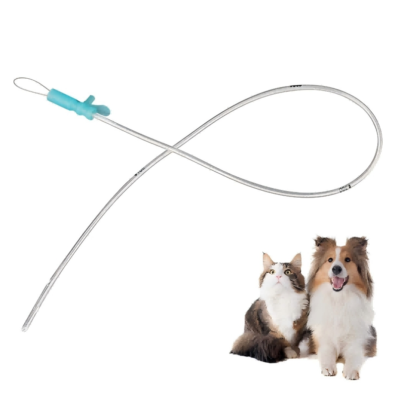 Tubo nasal gástrico para mascotas, alimentación animal, nutrición, catéter