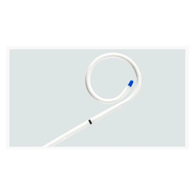 Stent Detail 1
