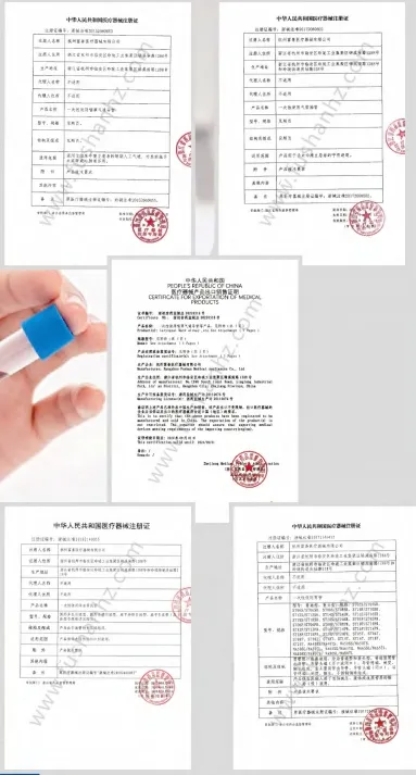 Certificado 1