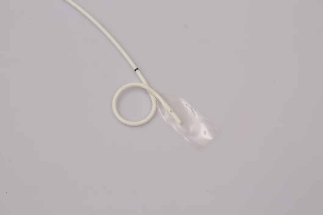 Detalle 2 Catéter Ureteral