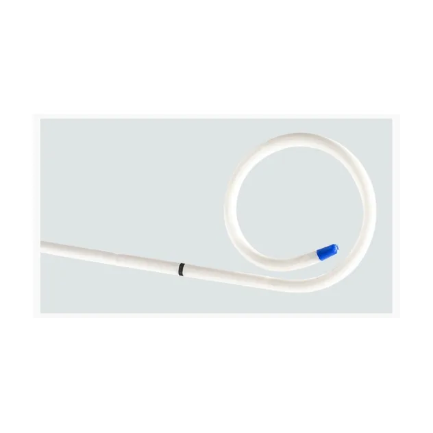 Stent Detail 2