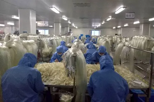 Instalaciones de Fábrica