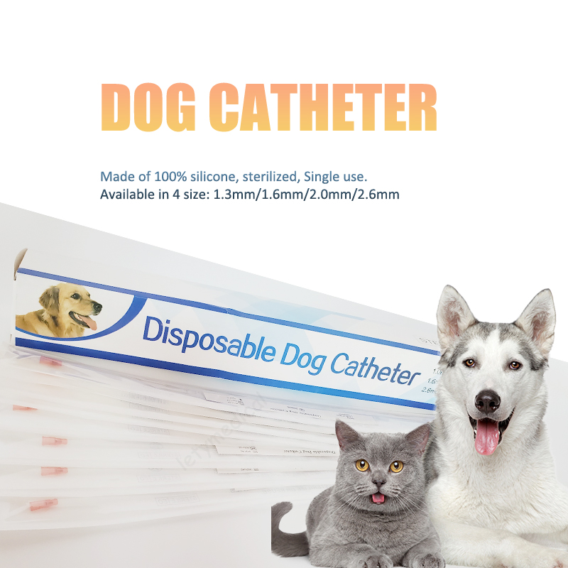 2.5/3/4fr Precio de fábrica Catéter para gatos con alambre guía Tubo urinario para mascotas con estilete