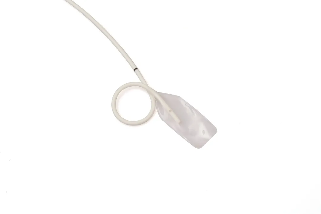 Detalle Stent Ureteral