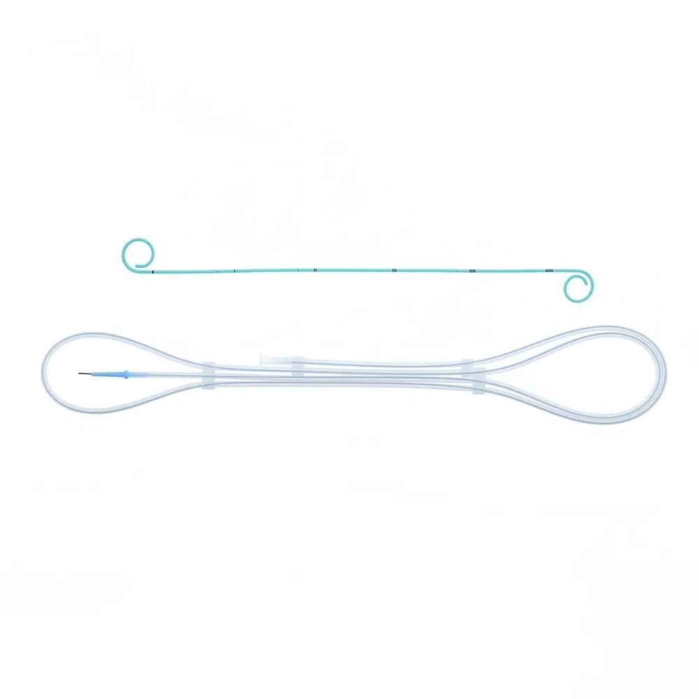 Detalle Stent 1