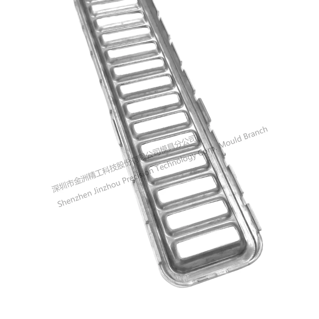 Microchannel Die View