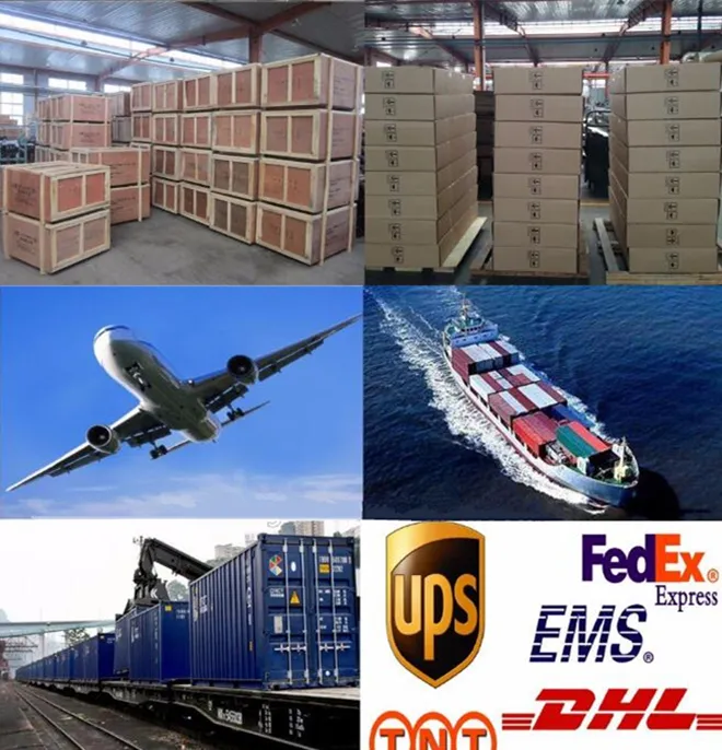 Shipping and Logistics