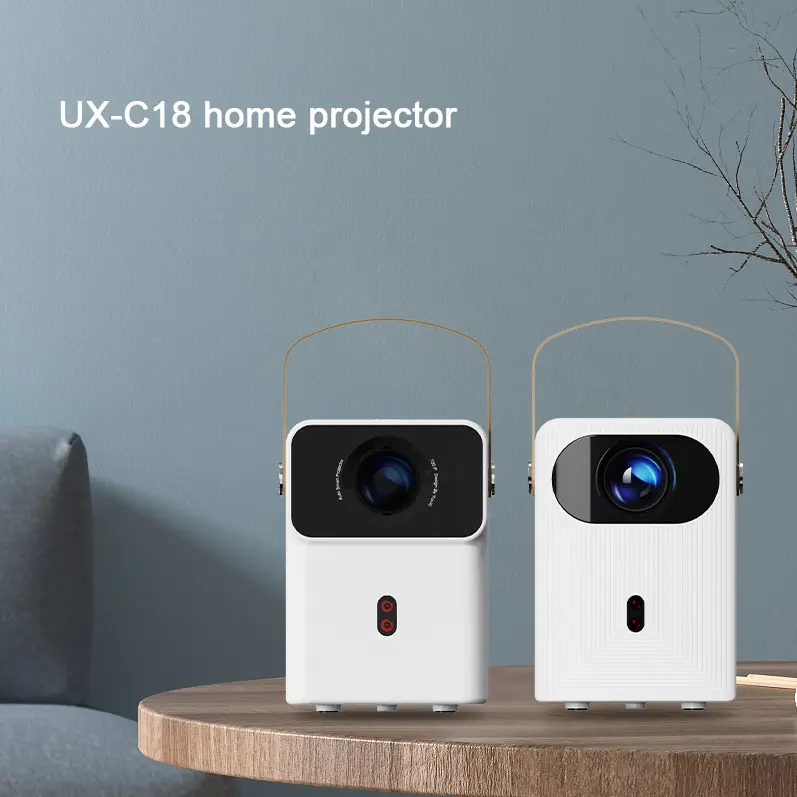 Connectivity and customized options
