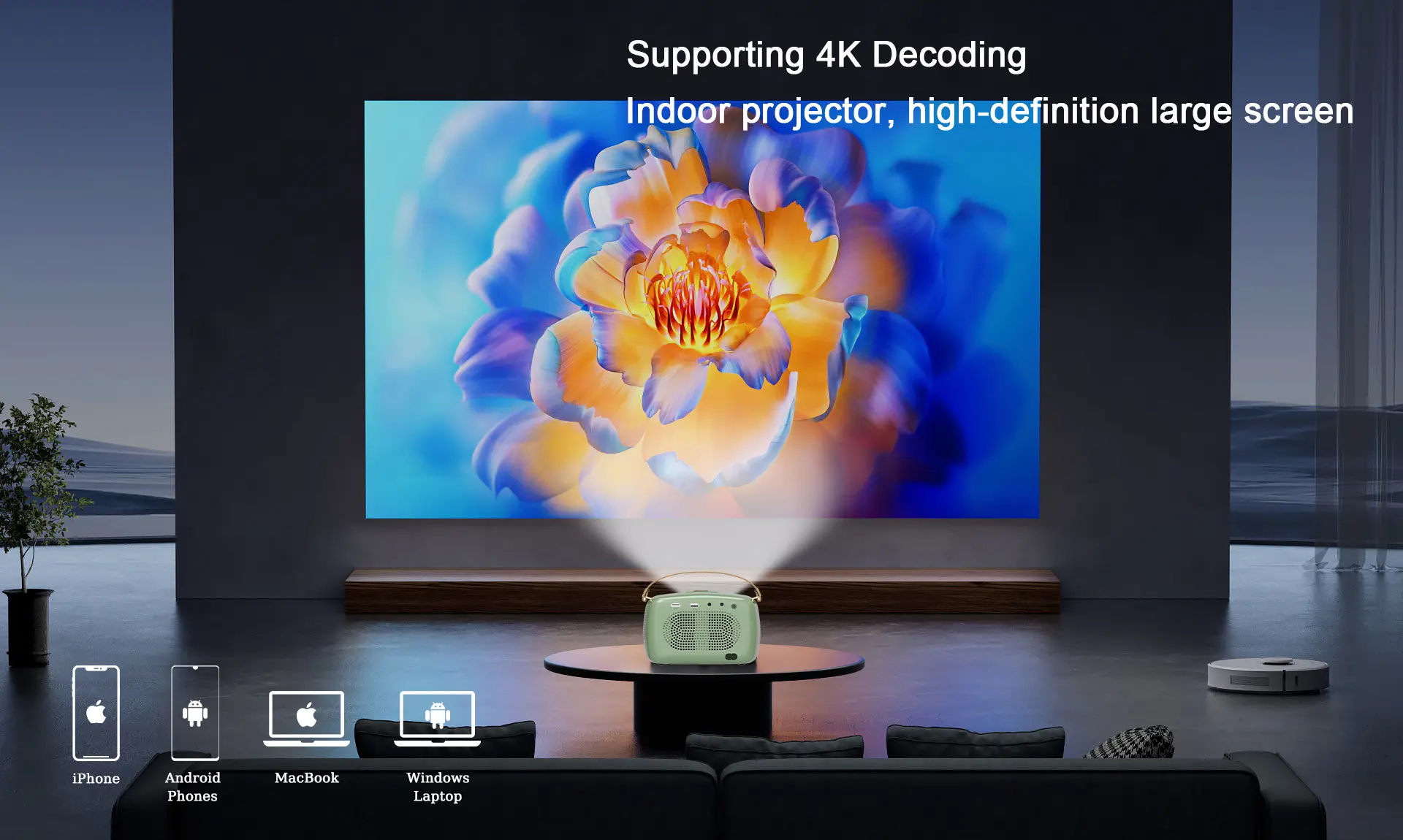 Projector main view