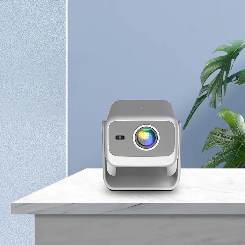 Projector Details