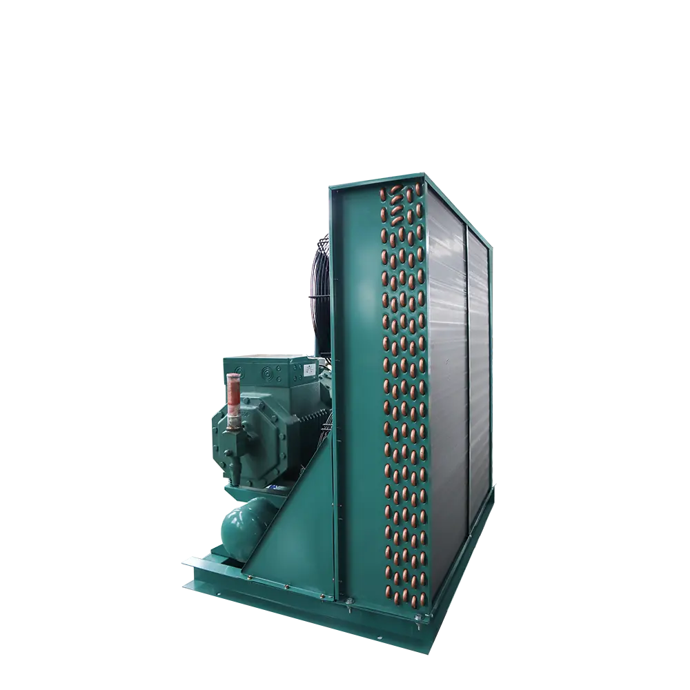 China FNH Series Condensing Unit for Cold Storage - Reliable Suppliers & Factory Solutions