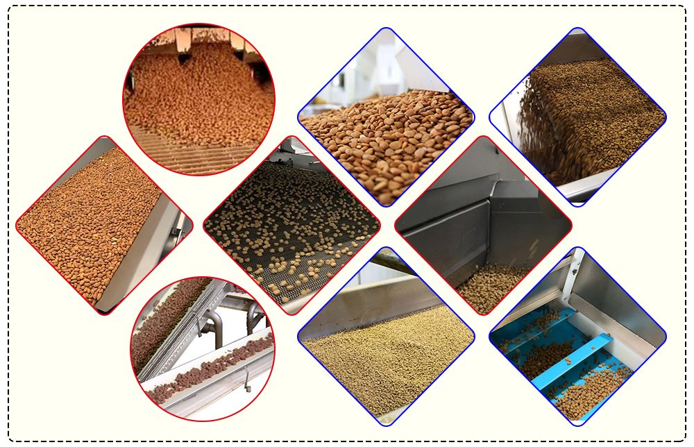 Linha de Produção de Pellets de Ração Planta Automática de Produção de Alimentos para Animais