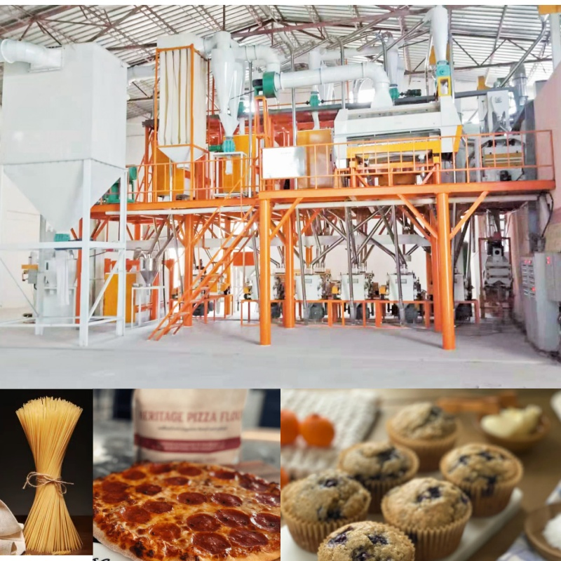 Planta de Moinho de Trigo Completo Padrão Europeu 60tpd para Fabricação de Massa e Pão Processamento Industrial de Grãos