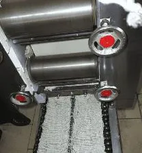 Hoister