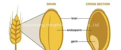 Planta de Moagem de Farinha de Trigo