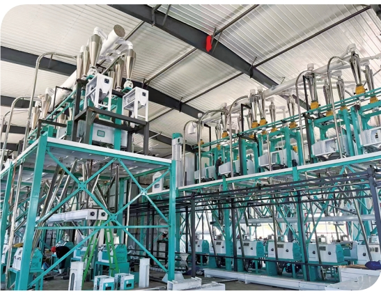 Planta de Moinho de Trigo Completo Padrão Europeu 60tpd para Fabricação de Massa e Pão Processamento Industrial de Grãos
