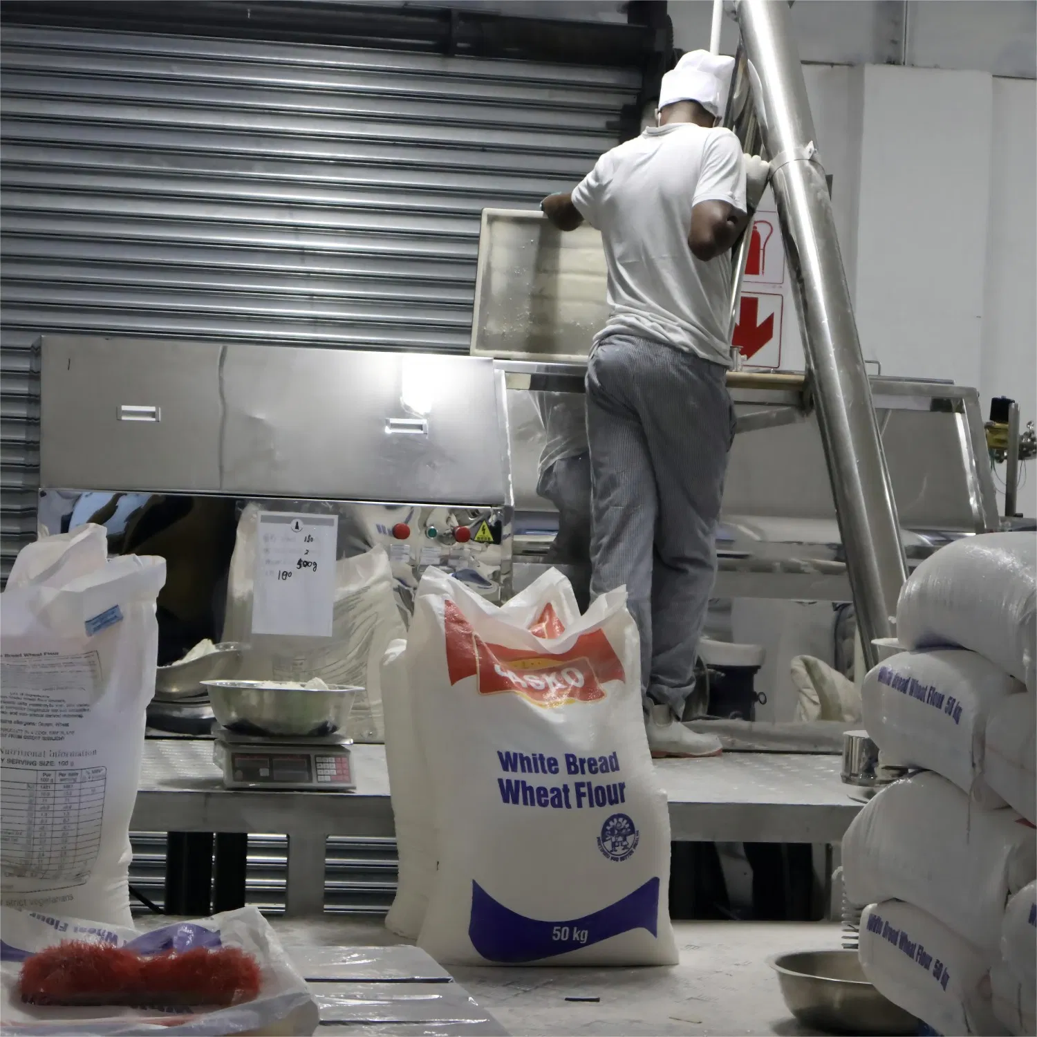 650 Sistema de Processamento de Macarrão Fresco Comercial Úmido