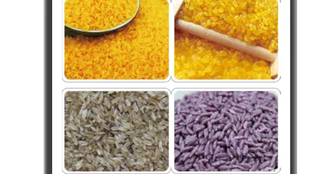 Arroz artificial linha de produção