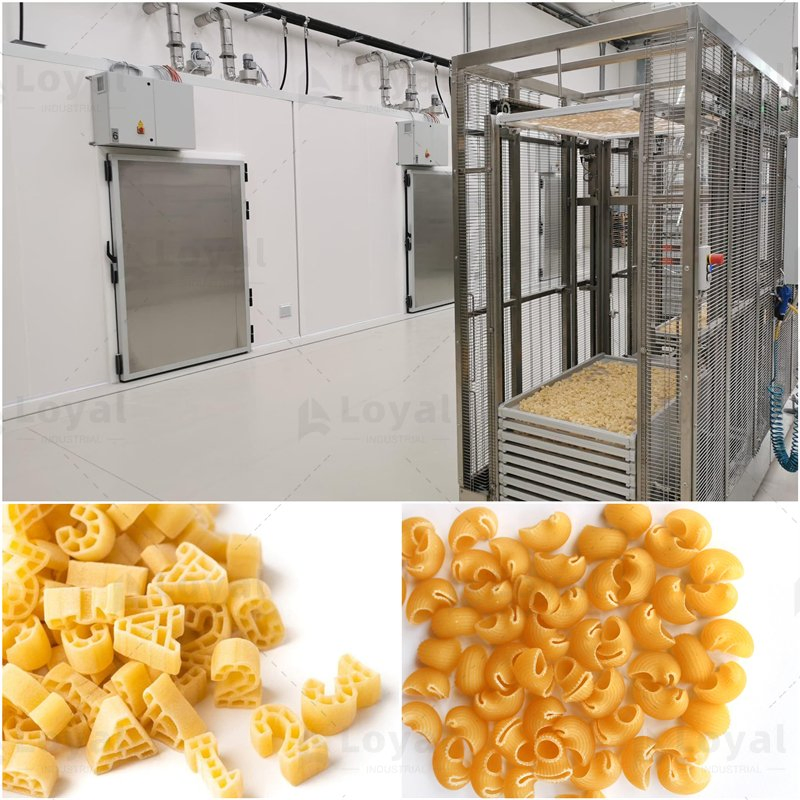 Máquina de Produção de Macarrão Linha de Produção de Massa Seca Sem Glúten Fábrica de Produção de Macarrão
