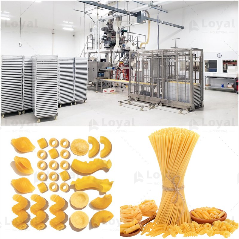 Linha de Produção de Massa Seca Linha de Produção de Espaguete Linha de Processamento de Massa Seca de Corte Longo