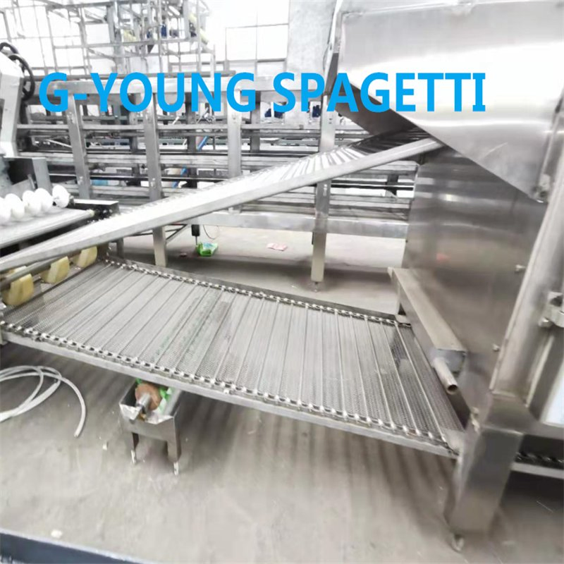 Linha de Equipamento para Fabricação de Macarrão Vermicelli de Farinha de Arroz Fresca Extrudada CE/ISO