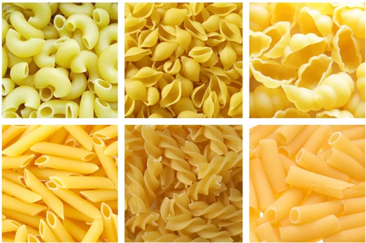 Linha de Produção de Pasta Curta Seca Conchiglie Rigatoni Penne Fusilli Orzo Macarrão