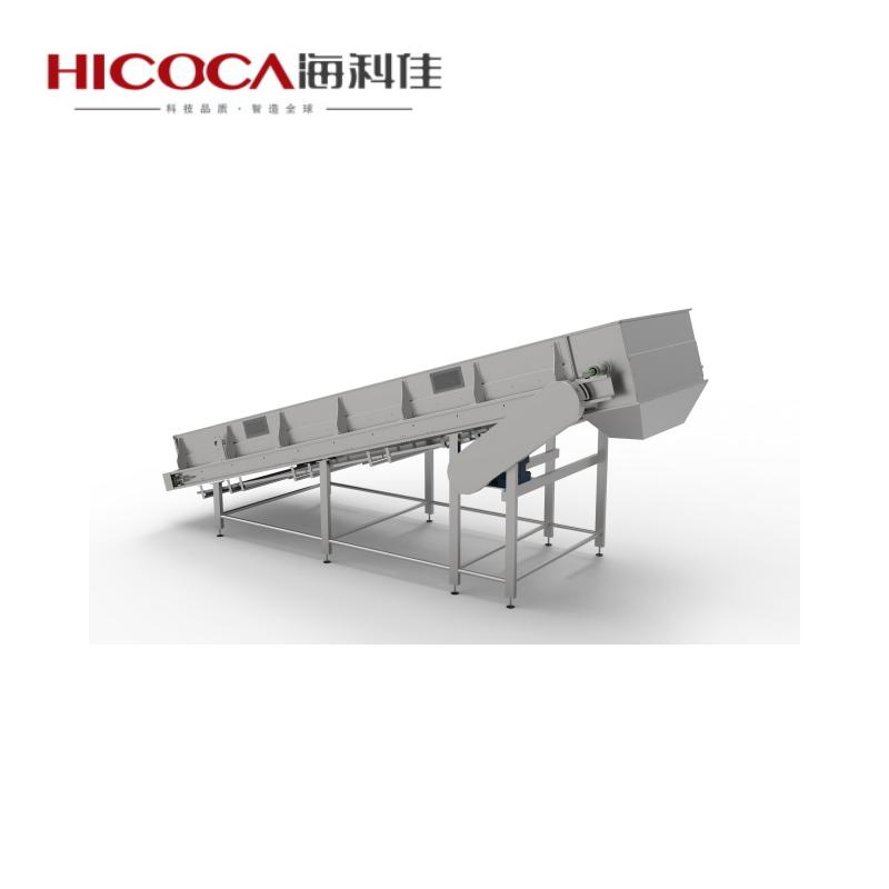 Linha Avançada de Fabricação de Pasta Farfalle para Compradores Internacionais