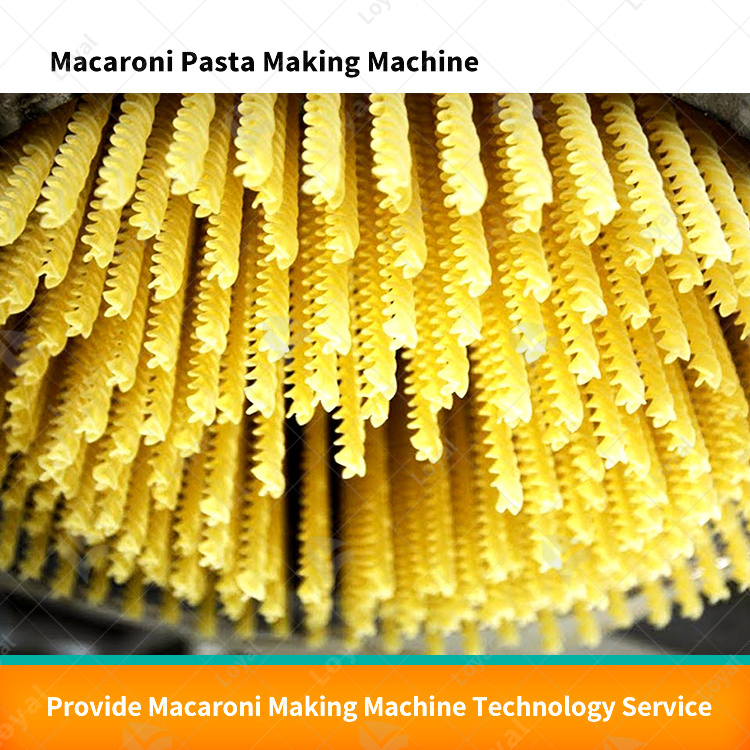 Máquina de Produção de Macarrão Linha de Produção de Pasta Fábrica de Fabricação de Macarrão
