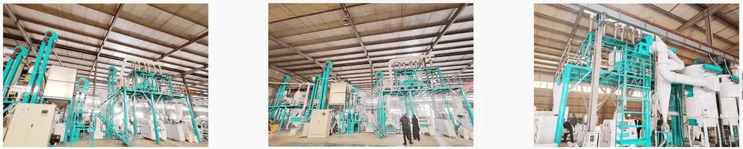 Linha de Processamento Completa 80t/24h Fábrica de Farinha de Trigo na Etiópia e no Quênia