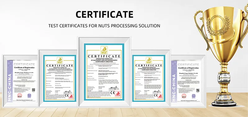 Linha de Produção de Macarrão Instantâneo Frito de Copo Totalmente Automática de Alta Eficiência